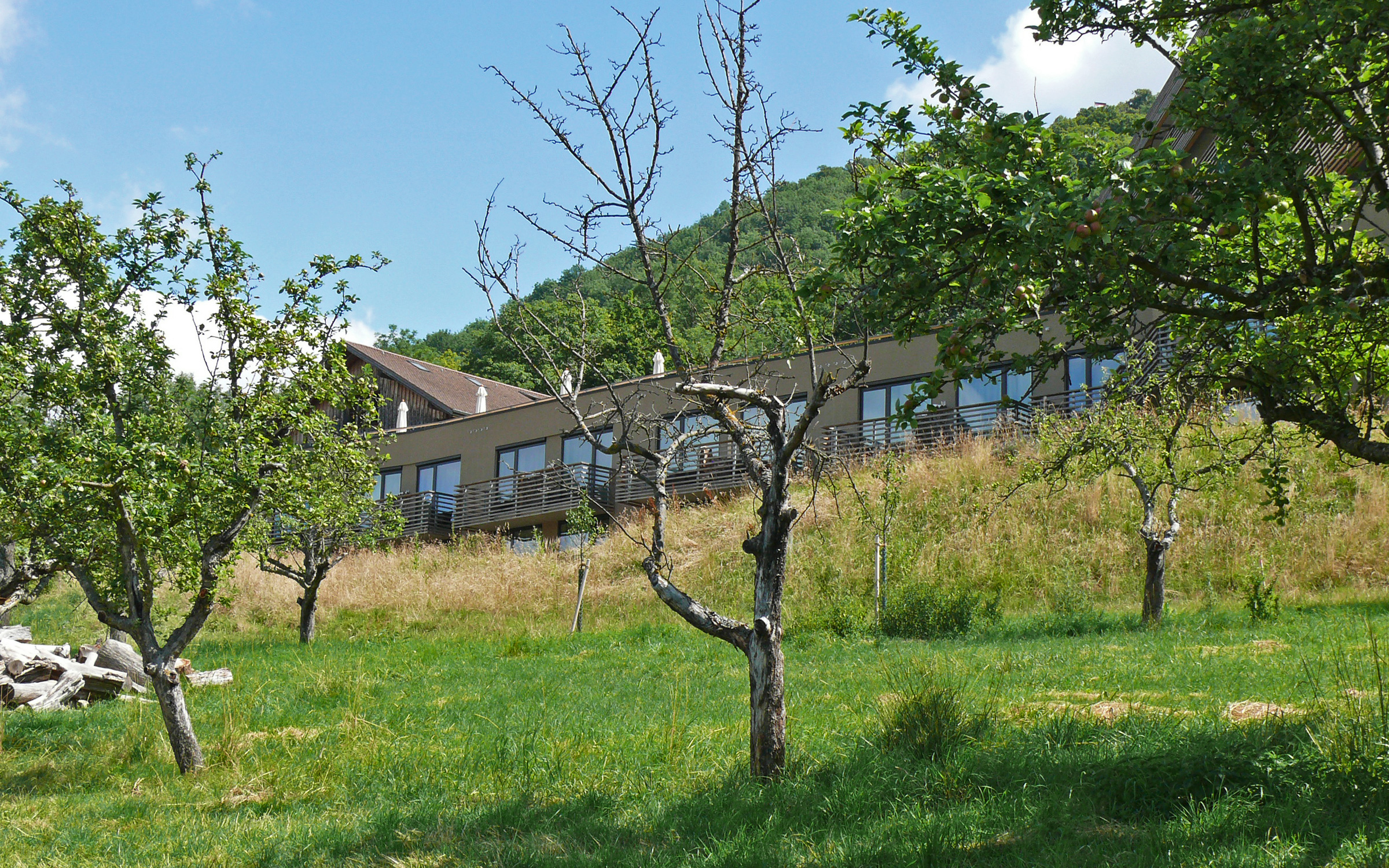 The roof landscape blends in harmoniously with its surroundings.  A meadow orchard in front of the building